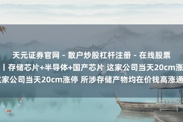 天元证券官网 - 散户炒股杠杆注册 - 在线股票配资如何开户 机构调研丨存储芯片+半导体+国产芯片 这家公司当天20cm涨停 所涉存储产物均在价钱高涨通说念