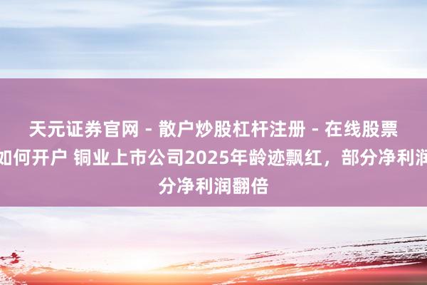 天元证券官网 - 散户炒股杠杆注册 - 在线股票配资如何开户 铜业上市公司2025年龄迹飘红，部分净利润翻倍
