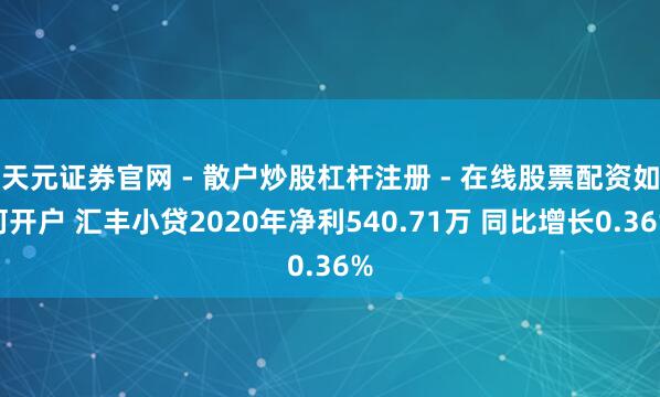 天元证券官网 - 散户炒股杠杆注册 - 在线股票配资如何开户 汇丰小贷2020年净利540.71万 同比增长0.36%