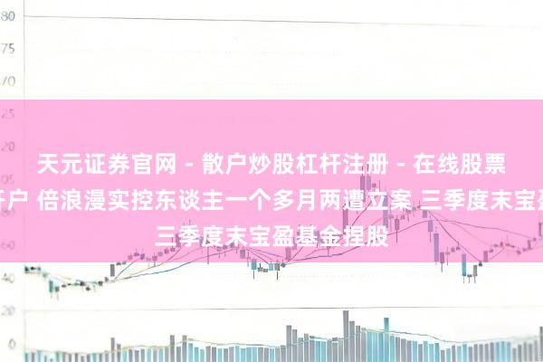 天元证券官网 - 散户炒股杠杆注册 - 在线股票配资如何开户 倍浪漫实控东谈主一个多月两遭立案 三季度末宝盈基金捏股