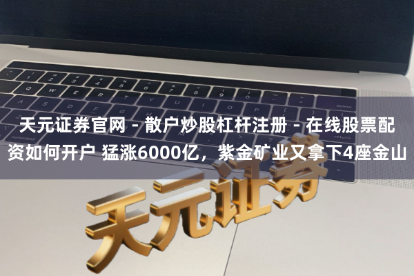 天元证券官网 - 散户炒股杠杆注册 - 在线股票配资如何开户 猛涨6000亿，紫金矿业又拿下4座金山