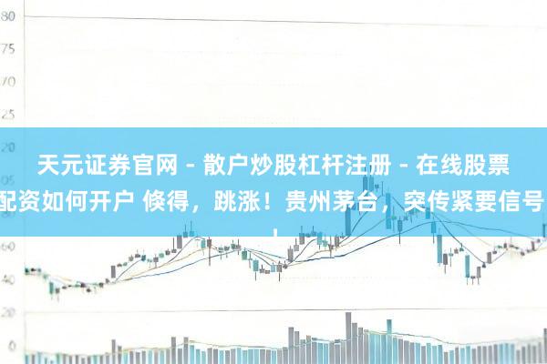 天元证券官网 - 散户炒股杠杆注册 - 在线股票配资如何开户 倏得，跳涨！贵州茅台，突传紧要信号！