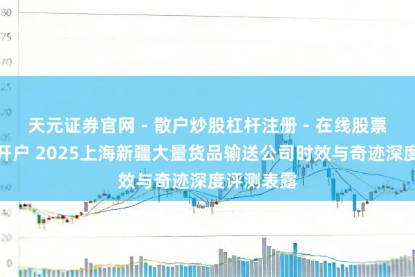 天元证券官网 - 散户炒股杠杆注册 - 在线股票配资如何开户 2025上海新疆大量货品输送公司时效与奇迹深度评测表露