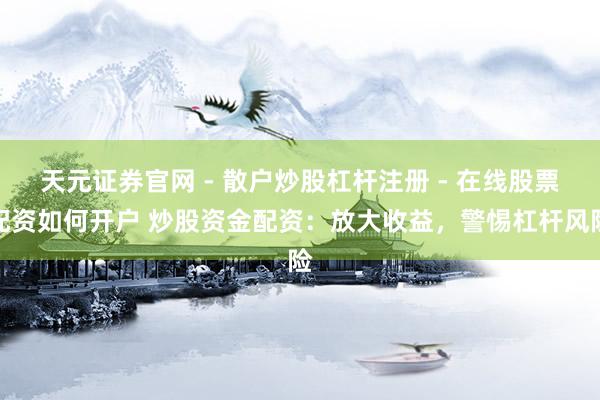 天元证券官网 - 散户炒股杠杆注册 - 在线股票配资如何开户 炒股资金配资：放大收益，警惕杠杆风险