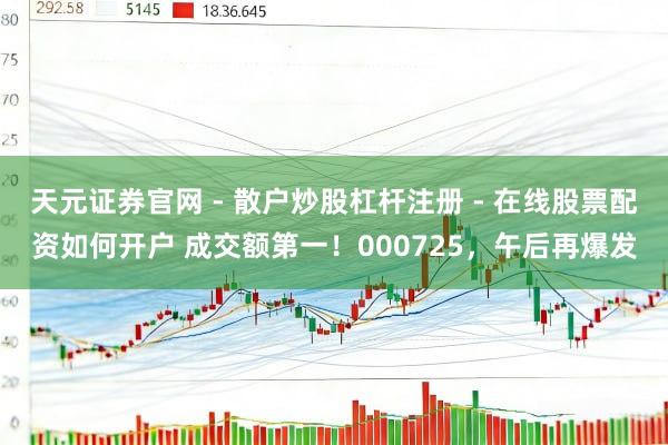 天元证券官网 - 散户炒股杠杆注册 - 在线股票配资如何开户 成交额第一！000725，午后再爆发