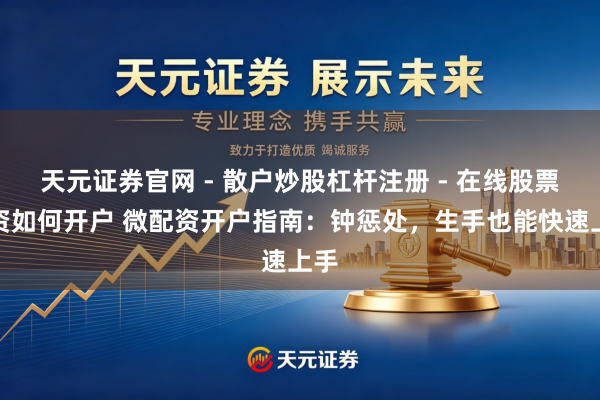 天元证券官网 - 散户炒股杠杆注册 - 在线股票配资如何开户 微配资开户指南：钟惩处，生手也能快速上手