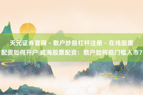 天元证券官网 - 散户炒股杠杆注册 - 在线股票配资如何开户 威海股票配资：散户如何低门槛入市？