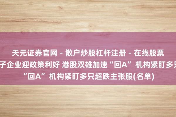 天元证券官网 - 散户炒股杠杆注册 - 在线股票配资如何开户 大模子企业迎政策利好 港股双雄加速“回A” 机构紧盯多只超跌主张股(名单)