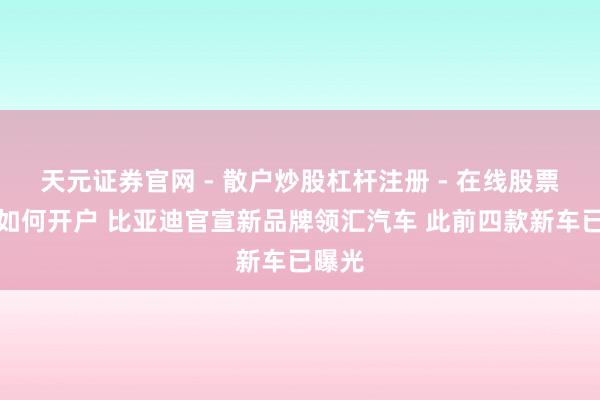 天元证券官网 - 散户炒股杠杆注册 - 在线股票配资如何开户 比亚迪官宣新品牌领汇汽车 此前四款新车已曝光