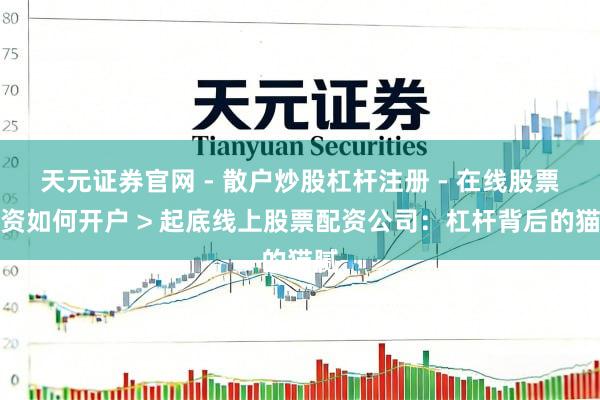 天元证券官网 - 散户炒股杠杆注册 - 在线股票配资如何开户 > 起底线上股票配资公司：杠杆背后的猫腻